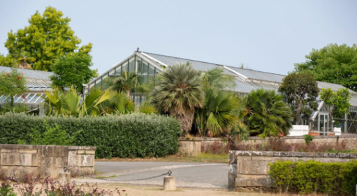 Visite guidée Jardin Botanique